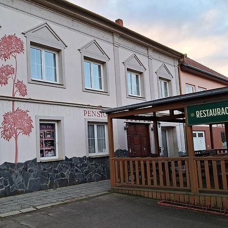 Pension Pavir Zidlochovice エクステリア 写真