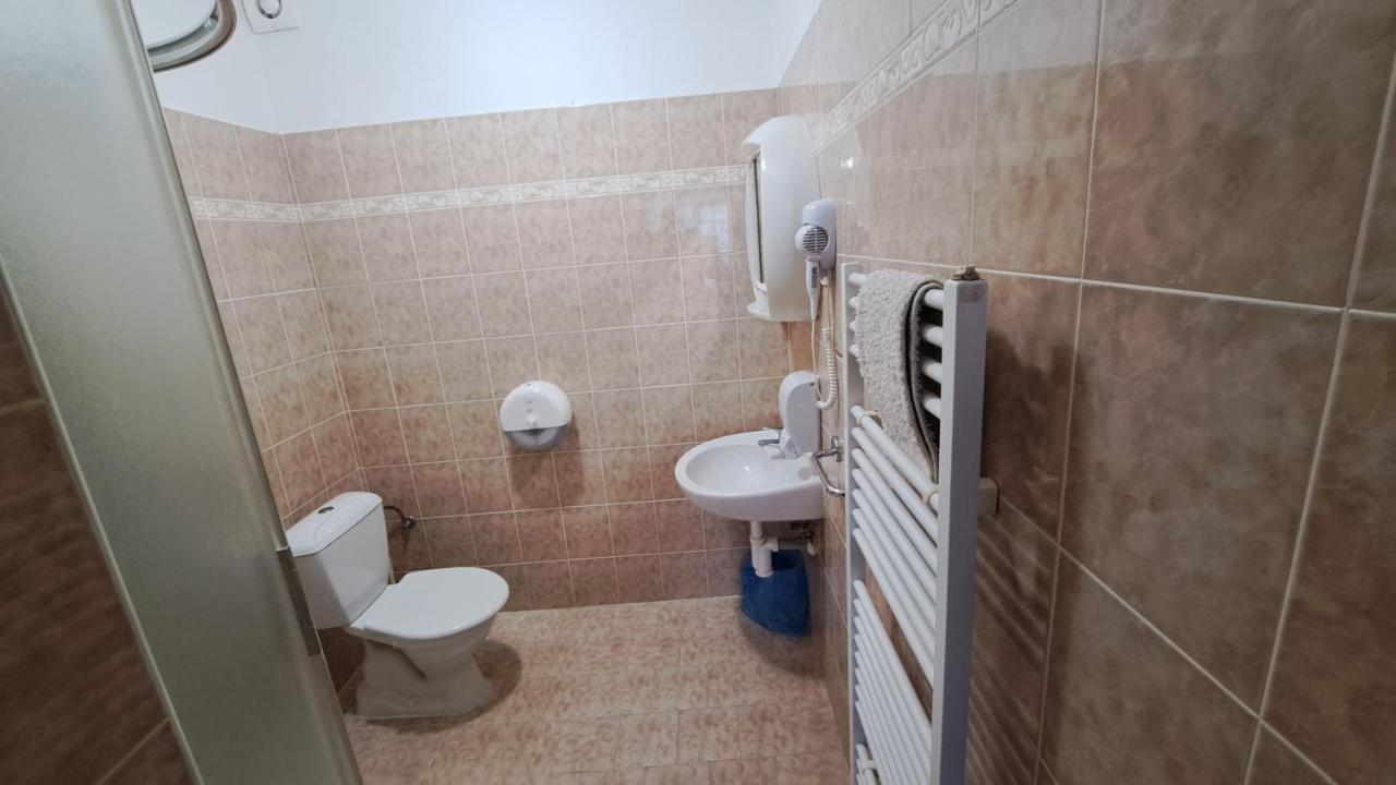 Pension Pavir Zidlochovice エクステリア 写真